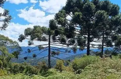 Chácara / sítio à venda na Estrada Geral, Zona Rural, Urubici
