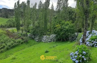 Terreno à venda na Rio Do Tigre, Zona Rural, Rio Rufino