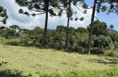 Terreno à venda na Rua Boaventura Ribeiro De Souza, Centro, Urubici