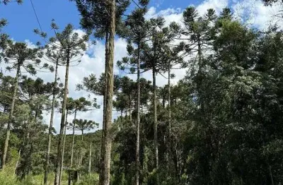 Terreno à venda na Zona Rural, Rio Rufino 
