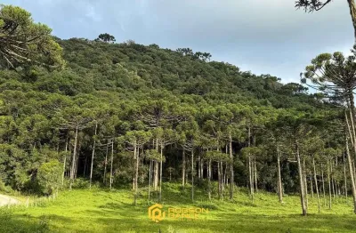 Terreno à venda na Zona Rural, Urubici 