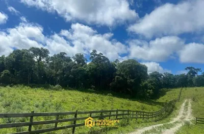 Terreno à venda na Próximo A Igreja, Zona Rural, Urubici