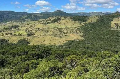 Terreno à venda na Farofa, Centro, Urupema