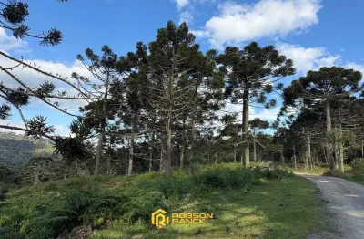 Terreno à venda no Morro da Igreja, Urubici 
