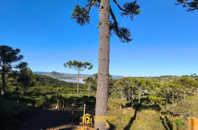 Terreno à venda na Bom Sucesso, Zona Rural, São Joaquim