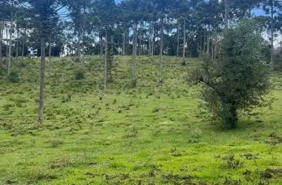 Terreno à venda na Estrada Geral, Zona Rural, Urubici