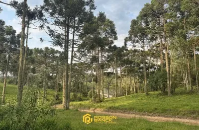Terreno à venda na Bom Sucesso, Centro, São Joaquim