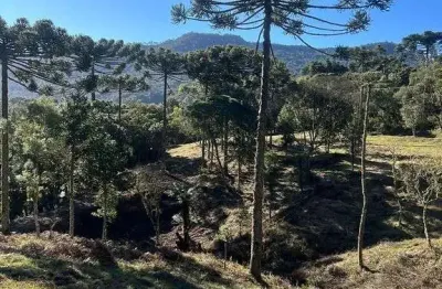 Terreno à venda na Próximo Estalagem Corvo Branco, Santa Tereza, Urubici