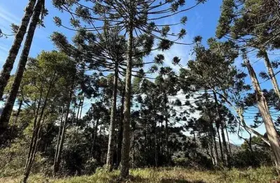 Terreno à venda na Imbuia, Zona Rural, Urubici