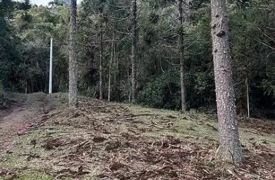 Terreno à venda na Águas Brancas, Urubici 
