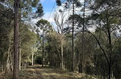 Terreno à venda na Águas Brancas, Urubici 
