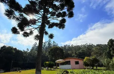 Chácara à venda em agudos do sul – 24.200 m² – r$ 350.000