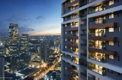 Raízes rio ave ilha do leite (colégio salesiano), recife/pe