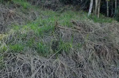 Terreno à venda, 1447 m² por r$ 690.000,00 - escola agrícola - blumenau/sc