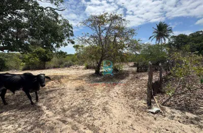 Terreno à venda, 196961 m² por r$ 460.000 - uruaú - beberibe/ce