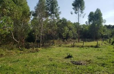 Lindo terreno pilar do sul, 6.000 m², próx. asfalto, semi plano, rio fundo, sabesp, doc. ok