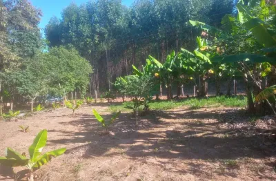 Lindo terreno pilar do sul, 1.500 m², panorama, 1,5 km asfalto, energia, sabesp, internet, doc. ok