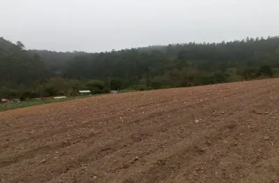 Lindo terreno piedade, 3.000 m², 4,5 km asfalto, semi plano, ótimo local, doc. ok.
