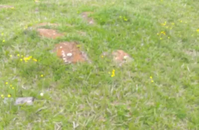 Lindo terreno de chácara piedade, 3.000 m², 6 km cidade, 1 baia, cercado, facilito, doc ok.