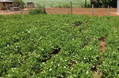 Lindo terreno são miguel arcanjo, 430 m², 20 km cidade, sabesp, energia, doc. ok, facilito
