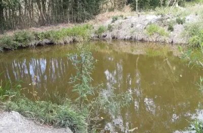 Lindo sítio em piedade, 11.900 m², 1,5 km asfalto, 3 quartos, nascente, lago, escritura.