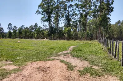 Linda sitio em sarapuí, 4,5 alqueires, 1,5 km asfalto, mina d’água, plano, eucalipto, doc. ok