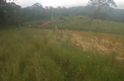 Lindo sítio tapiraí sp, 5 alqueires, rio bonito, 6,5 km asfalto, mata nativa, car, itr, doc. ok