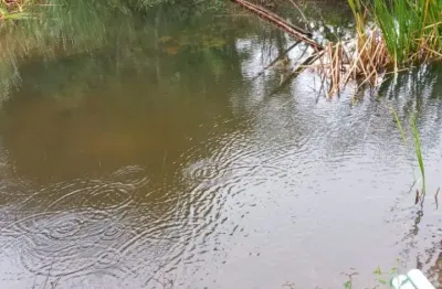 Lindo sítio tapiraí, 3 alq., 18 km da cidade, 3 quartos, tanque + mina d’água, escritura.