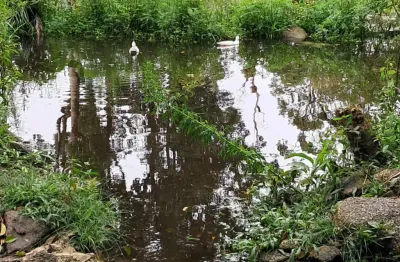 Linda chácara pilar do sul, 1.100 m², saudade, 2 quartos, mina, tanque, doc. ok, facilito