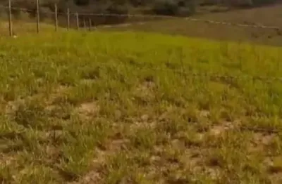 Lindo terreno são miguel arcanjo, 1.000 m², rincão, energia, doc. ok, facilito