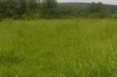 Lindo terreno são miguel arcanjo, 915 m², turvo, energia, mina, doc. ok, facilito