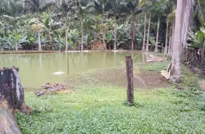 Lindo sítio juquiá, 55.000 m², capuava, casa, mina, pomar, 3 tanques, permuto