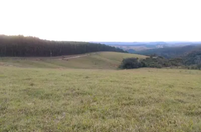 Lindo sítio em pilar do sul, 12 alq., 4 km do asfalto, 2 quartos, 9 km da cidade, escritura.