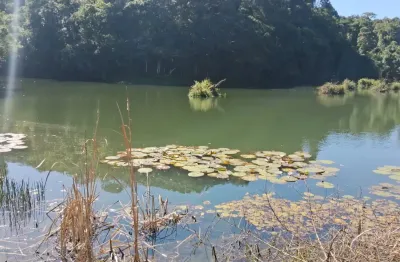 Lindo sítio são miguel, 2 alqueires, casa, lago gd., semi plano, próx. asfalto, sabesp, escritura