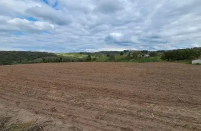 Lindo sítio são miguel arcanjo, 48 alq., 3 casas, 2 barracões, próx. asfalto, escritura