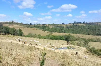 Lindo sítio sarapui, 37 alqueires, 22 alqueires abertos, escritura, permuto, facilito