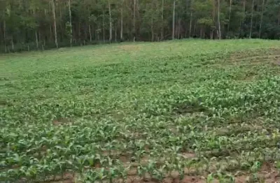 Lindo sítio tapiraí sp, 19.000 m², rio bonito, casa, poço, internet, doc. ok, permuto