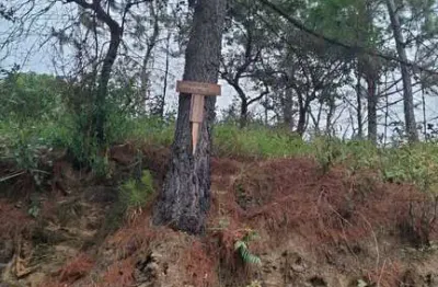 Vende se terreno de 270 m2,  chácara solar,  fazedinha ii,  santana de parnaiba