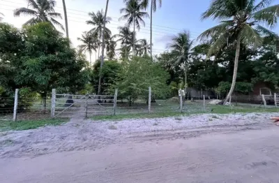 Terreno para investir e lucrar em massagueira / marechal deodoro!