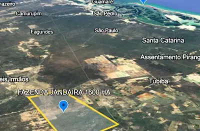 Chácara / sítio com 4 quartos à venda na Zona Rural, Jandaíra 