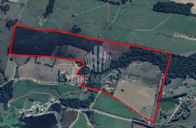 Fazenda à venda na via dalcy vieira de camargo, 5000, areia branca, quadra, 600 m2 por r$ 5.500.000