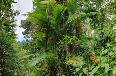 Terreno à venda no sertão de cambury 3.442,91– são sebastião/sp