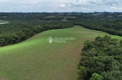 Terreno à venda na dos imigrantes, 22, colônia balbino cunha, campo largo, 242000 m2 por r$ 3.000.000