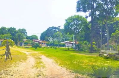 Fazenda à venda na mato grosso, 826, mineiros, balsa nova, 450 m2 por r$ 750.000