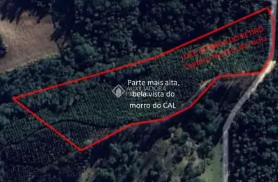 Terreno à venda na rua caetano munhoz da rocha, 55, zona rural, campo largo por r$ 550.000