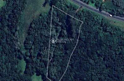 Terreno comercial à venda na rodovia br-277 curitiba ponta grossa, 125, zona rural, campo largo, 17764 m2 por r$ 3.300.000