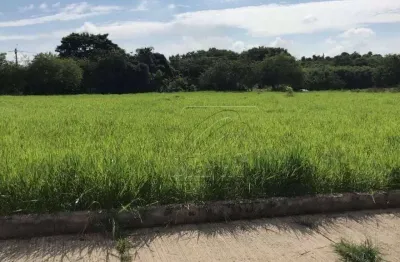 Terreno residencial à venda, santa terezinha, piracicaba - próximo supermercado pague menos - r$ 230.000