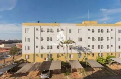 Apartamento à venda com 3 quartos no condomínio parque dos eucaliptos em campinas/sp