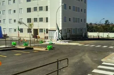 Apartamento à venda com 02 dormitórios (quartos) condomínio residencial parque cetus em campinas - sp