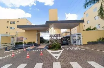 Apartamento à venda com 2 quartos no condominio  Residencial Jose Eusébio Cabral em Campinas - SP